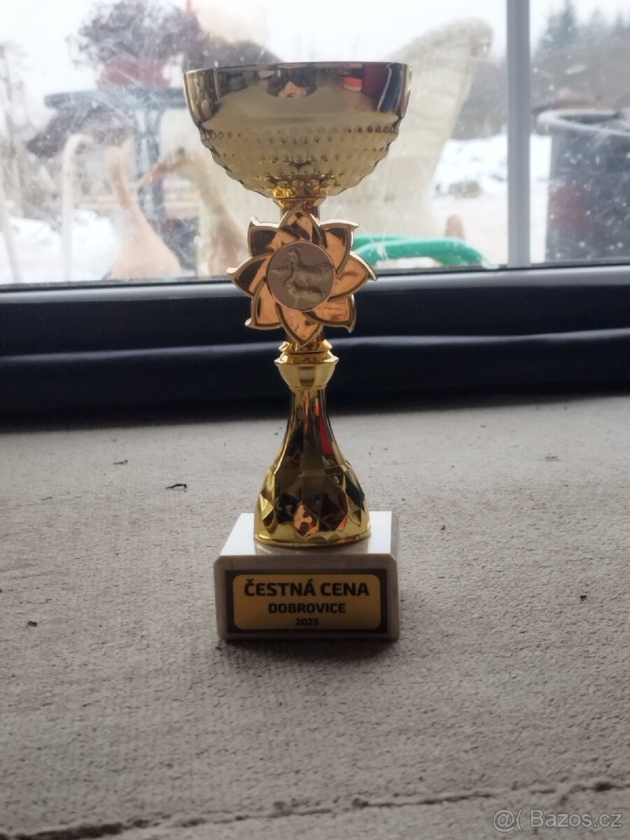 Indický běžec - 7