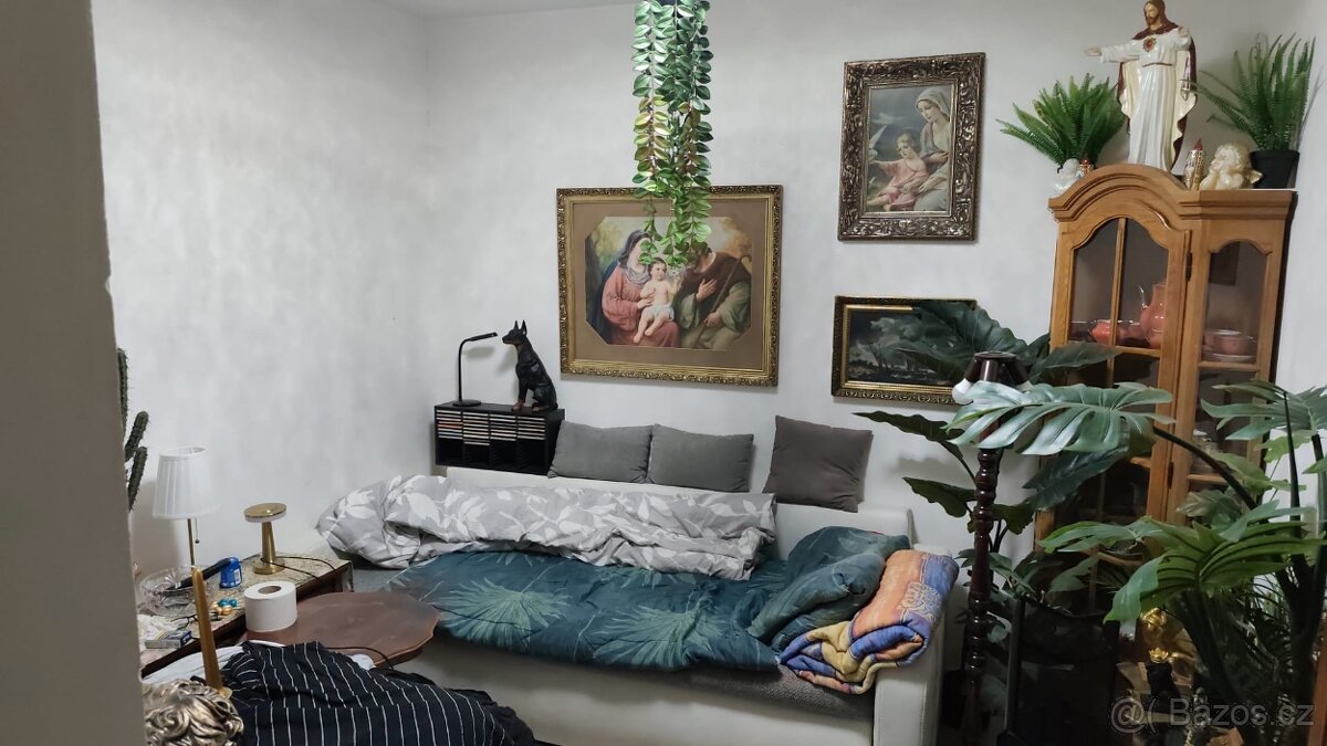 Pronájem bytu 2+1 Hrušovany u Brna - 7