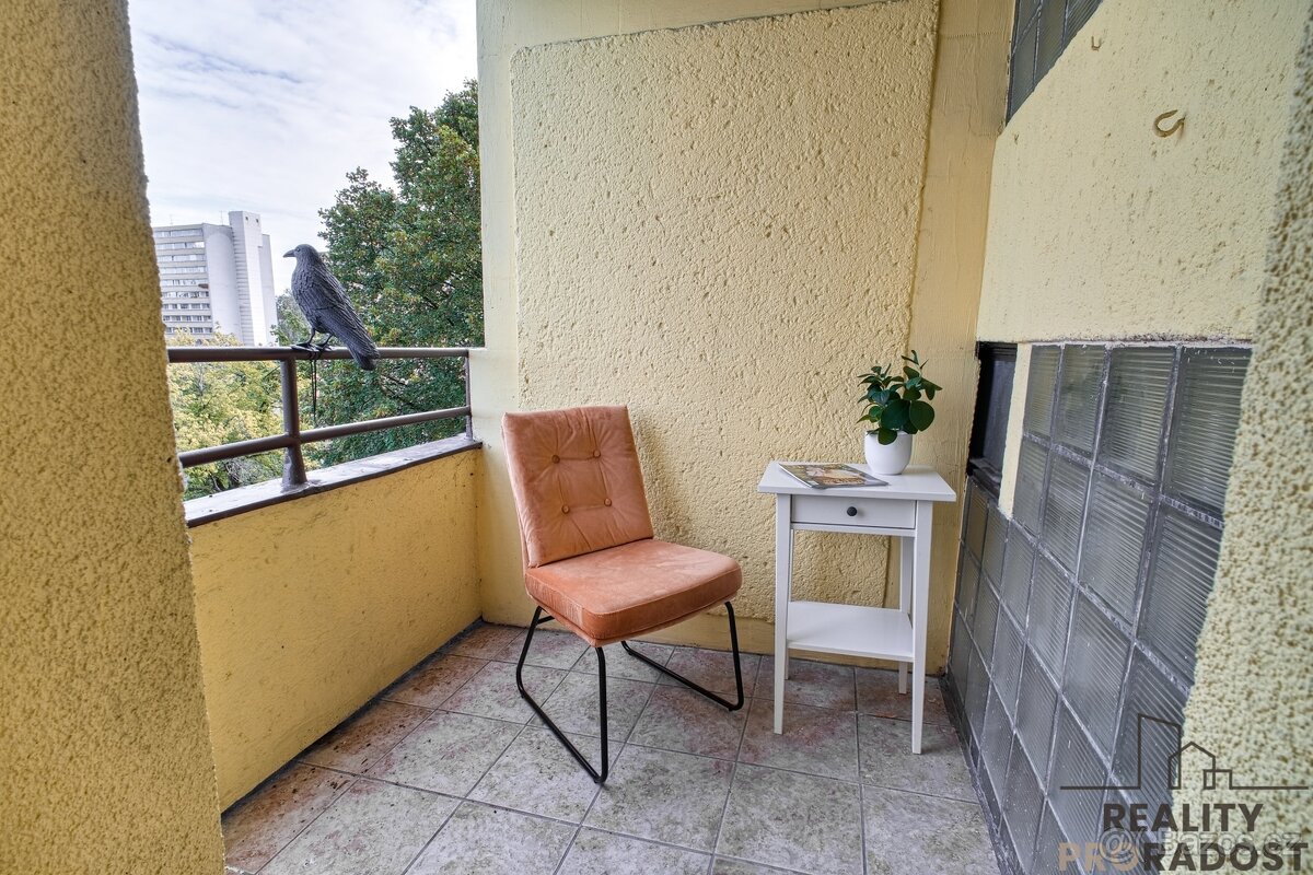 Pronájem bytu 1+kk v Karviné - 7