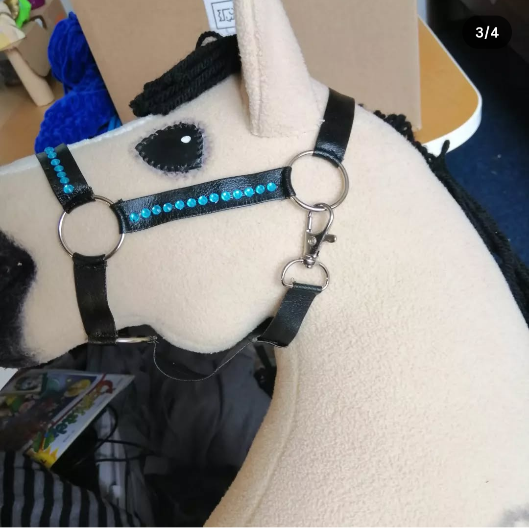 Hobby horse - vybavení - 7