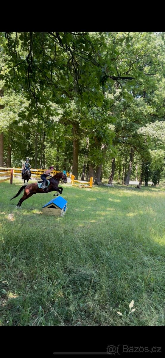 Pronájem Valáška - 7