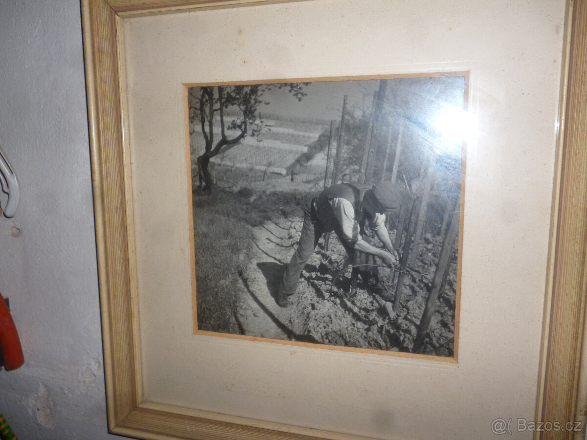 obrazy,rámy,foto - 7