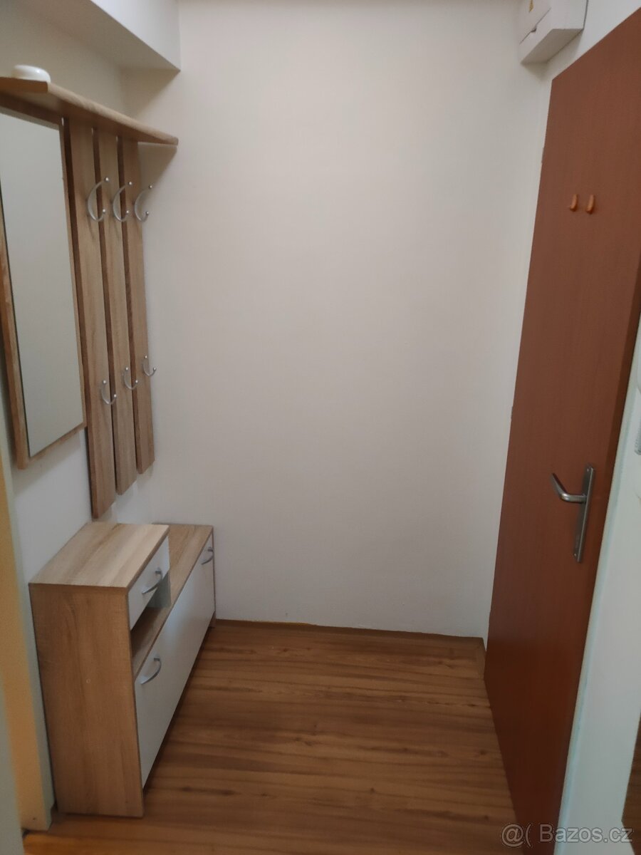 Pronájem bytu 1+kk ve Bzenci - 7