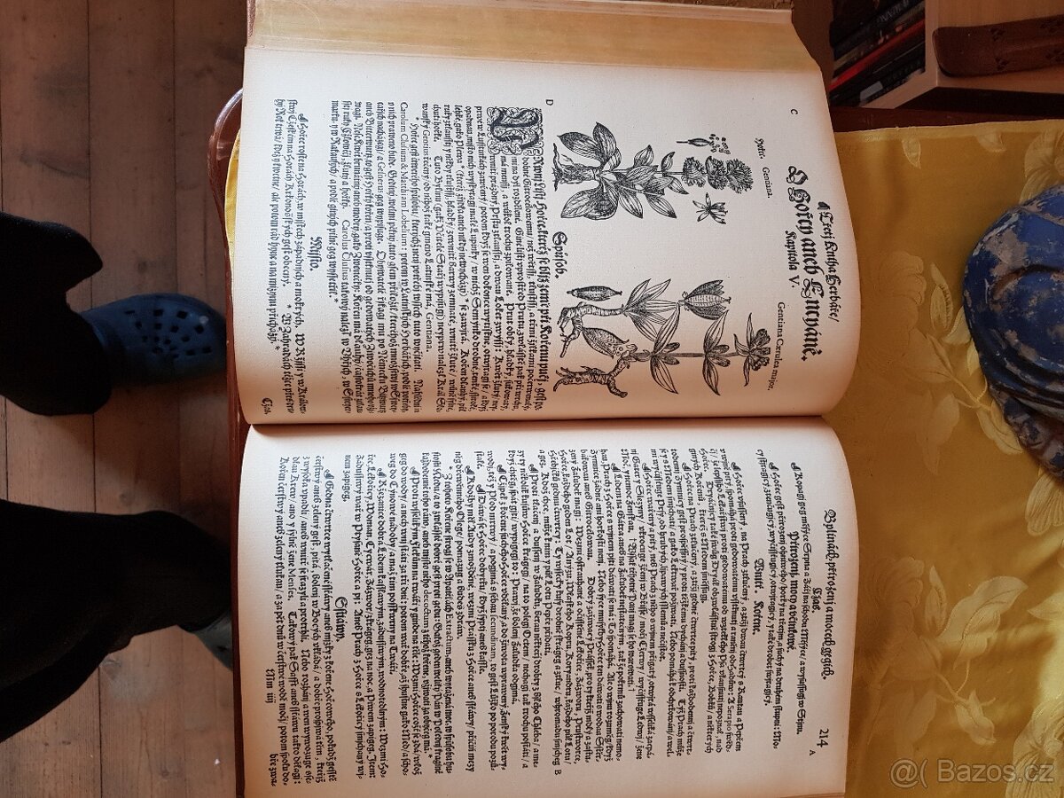 Herbář, aneb, Bylinář Matthioli / Mattioli - 7