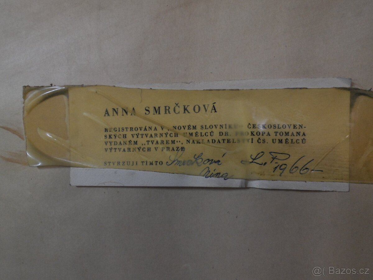 Obraz zátiší Anna Smrčková - 7