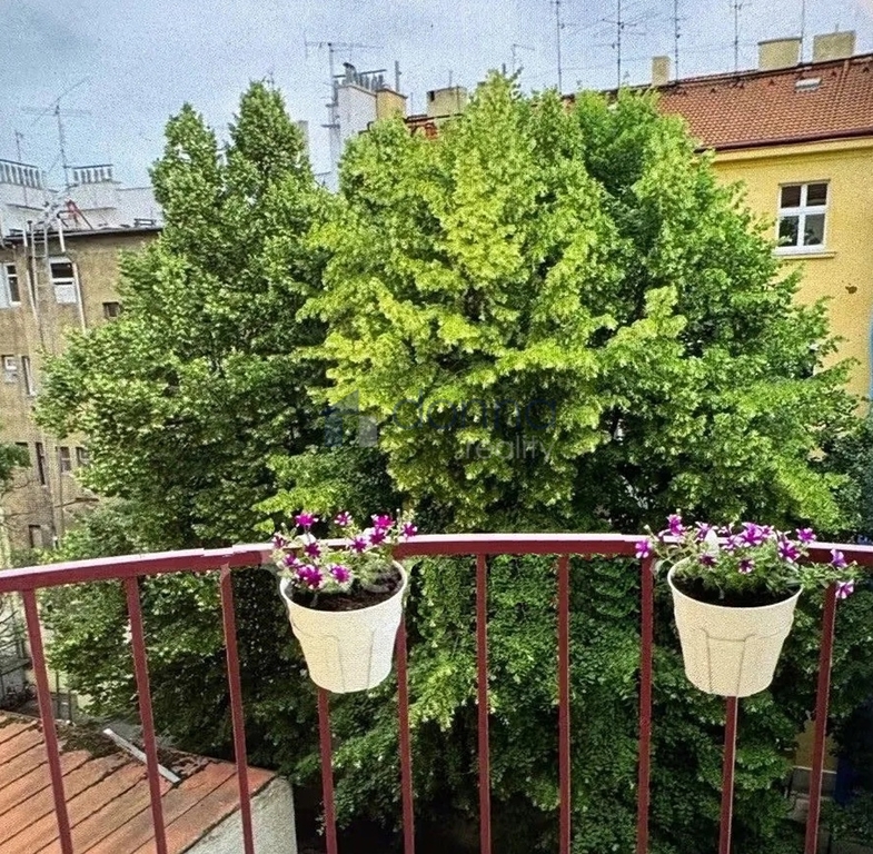 Pronájem bytu 2+kk/B, 44 m², ul. Náměstí Dr. Václava Holého, – další