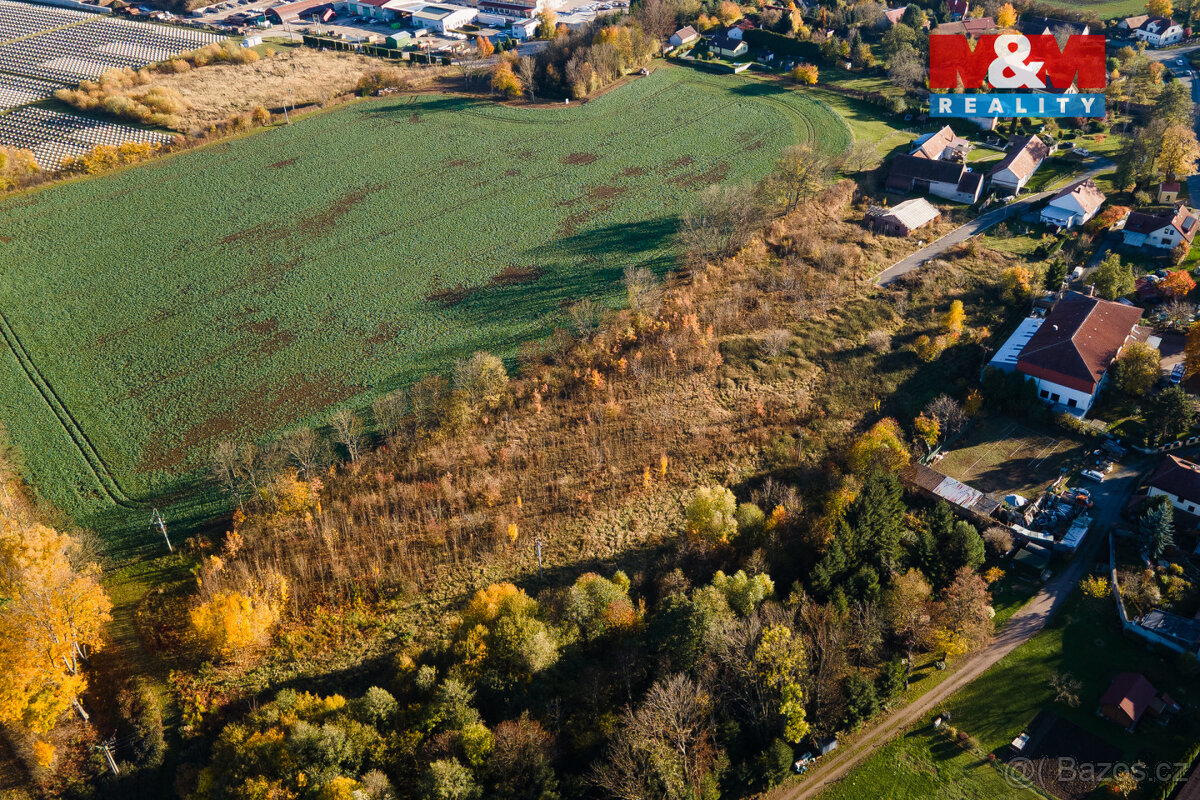 Prodej pozemku k bydlení, 15065 m², Čepí - 7