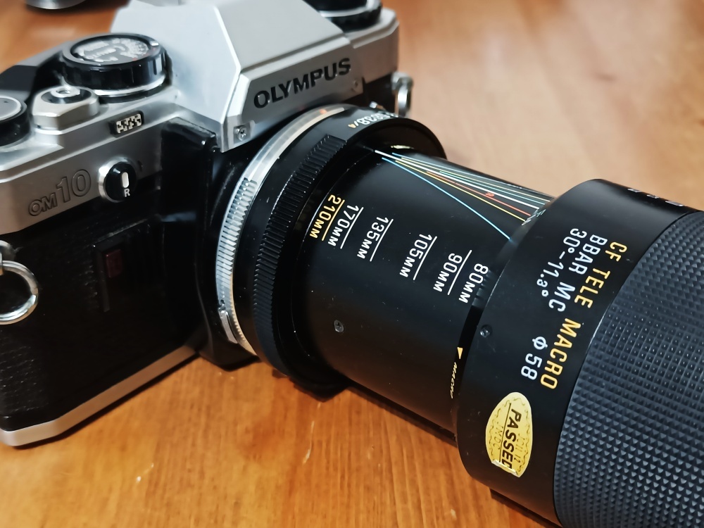 OLYMPUS OM-10 (Tamron 80-210mm CF Tele Macro) - 1979 - 7