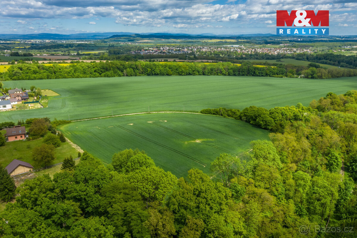 Prodej komerčního pozemku, 10159 m², Bakov nad Jizerou - 7