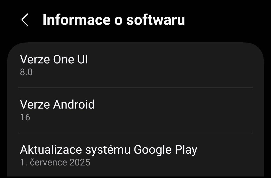 Samsung S25 12/128 - 7