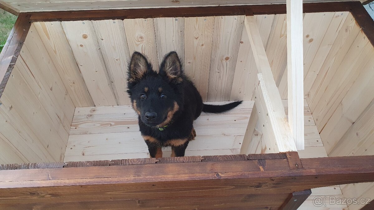 psí bouda, boudy pro psy - 7