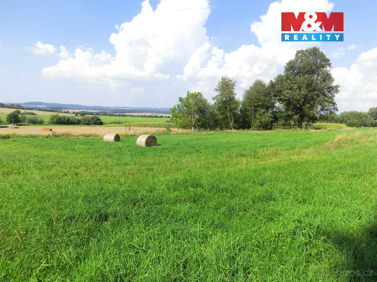 Prodej pozemku, 3885 m², Radenín - 7