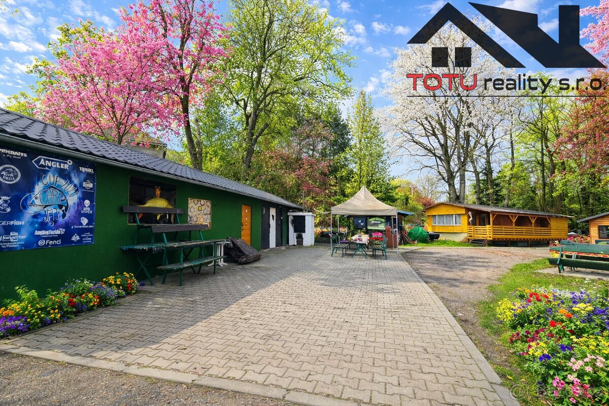 Prodej, rybník Velký Přelov, 44 772 m2, Černožice - 7