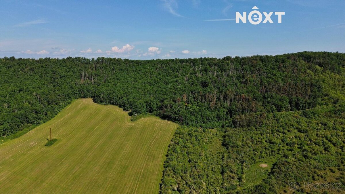 Prodej pozemek Lesy, 3149㎡ - 7
