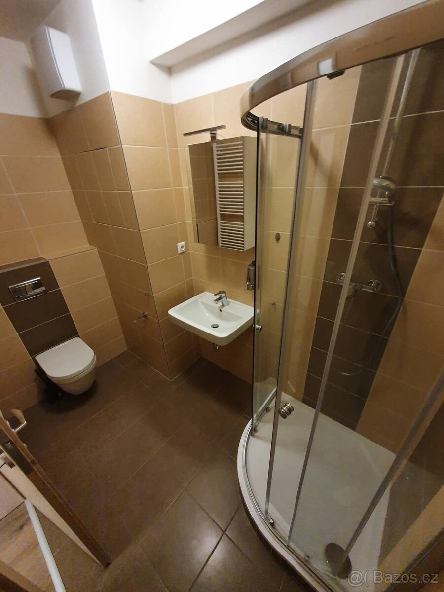 Olomouc Řepčín pronájem 1+kk - 7