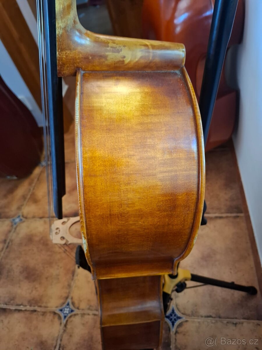 Violoncello - Jana páclová - 7