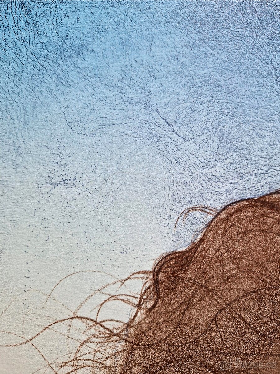 Bruno Bruni - (podpísaná litografia) ,(figurálny realizmus) - 7