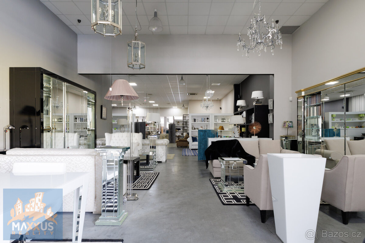 Pronájem obchodních prostor/showroomu (396,9 m2), SHOP PARK - 7