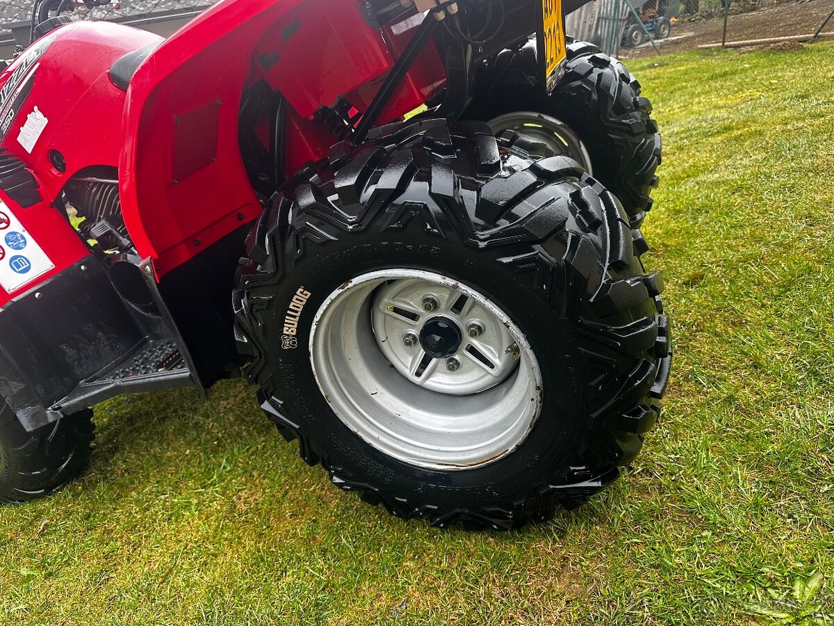 Yamaha Grizzly 350 - 7