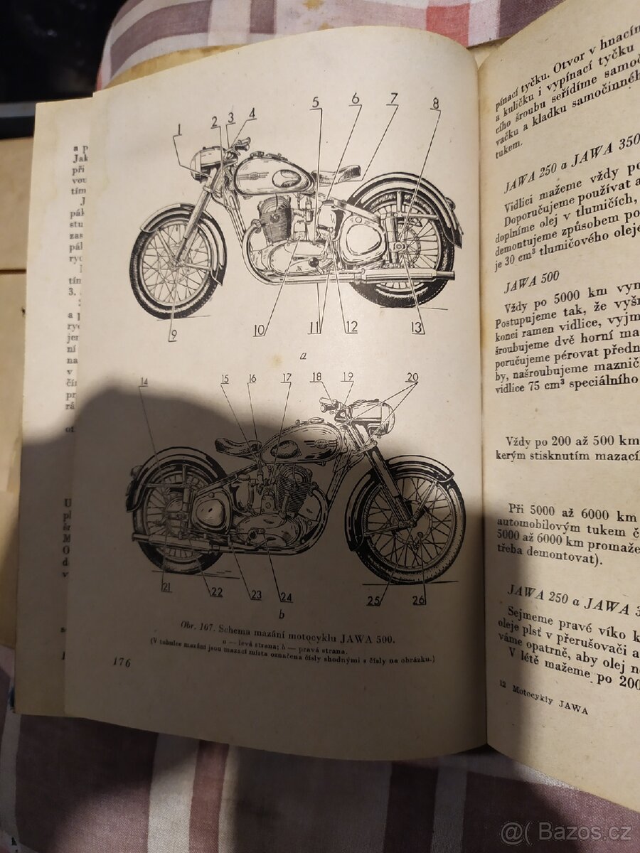 Jawa - 7