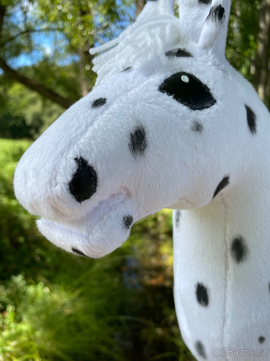 Hobby horse na prodej - 7