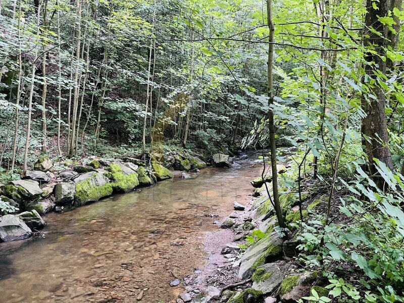 Prodej stavebního pozemku v krásné přírodní lokalitě – Oskav - 7