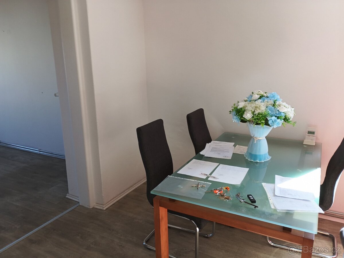 Pronájem bytu 2+1 - 7