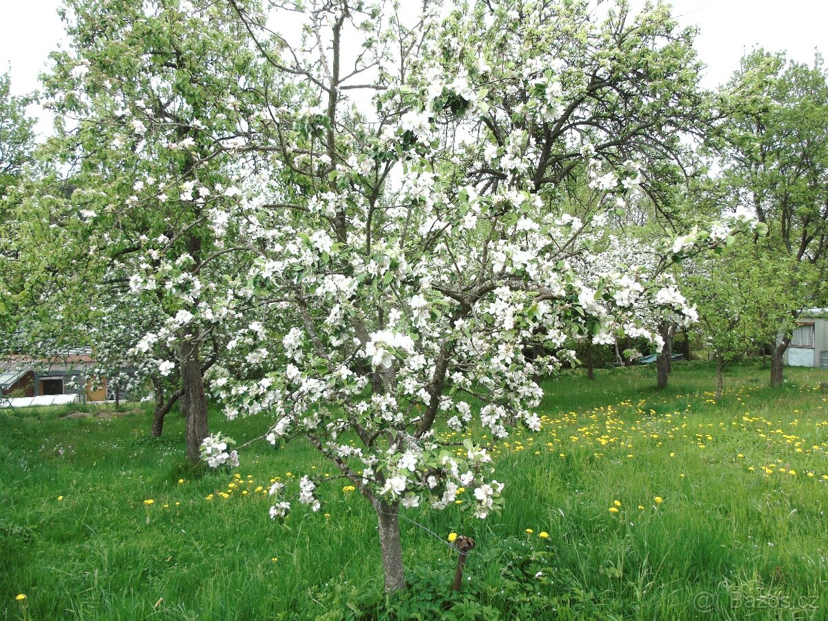 Prodám stavební parcelu - 7