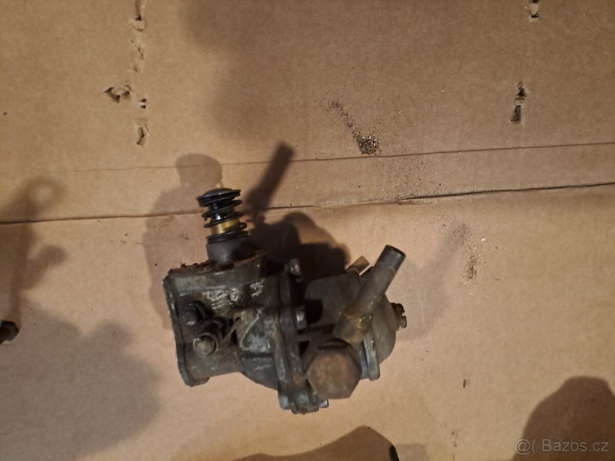 Felicia octavia spartak veterán - 7