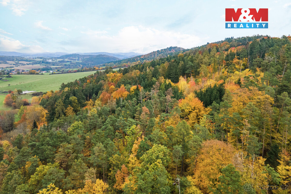 Prodej chaty, 31 m², Čím - 7