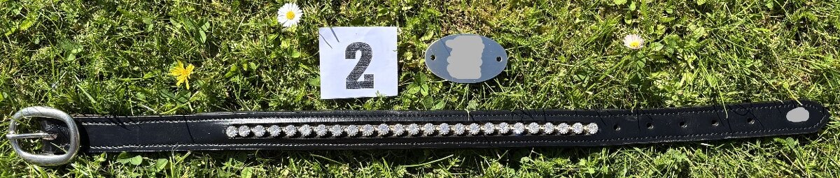 Kožený psí obojek bez připojení na vodítko, náhrdelník MIX - 7