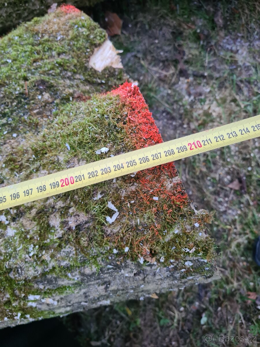 Prodám ořechové dřevo 1,5 m3 - 7