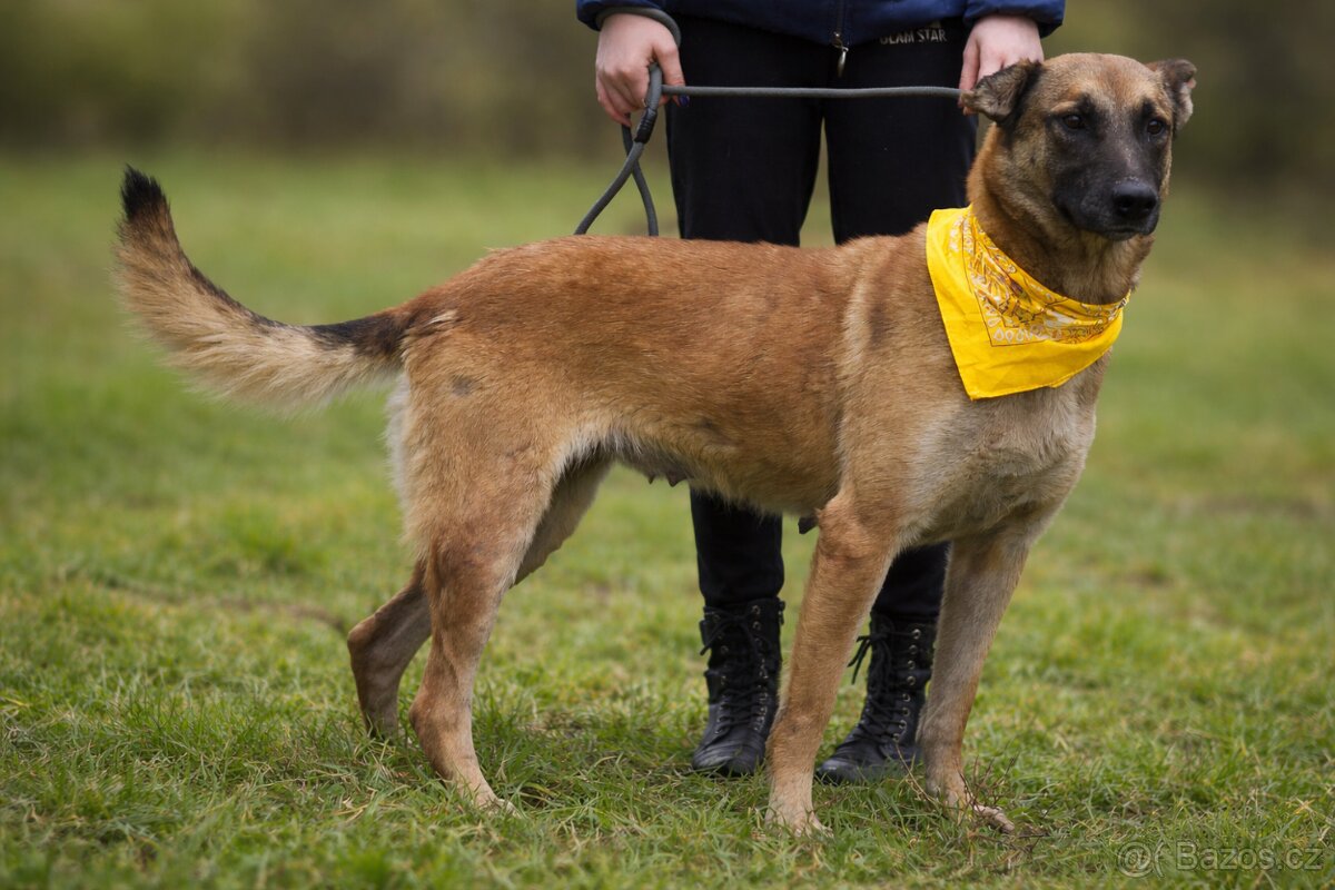 Meggy hledá domov - 7