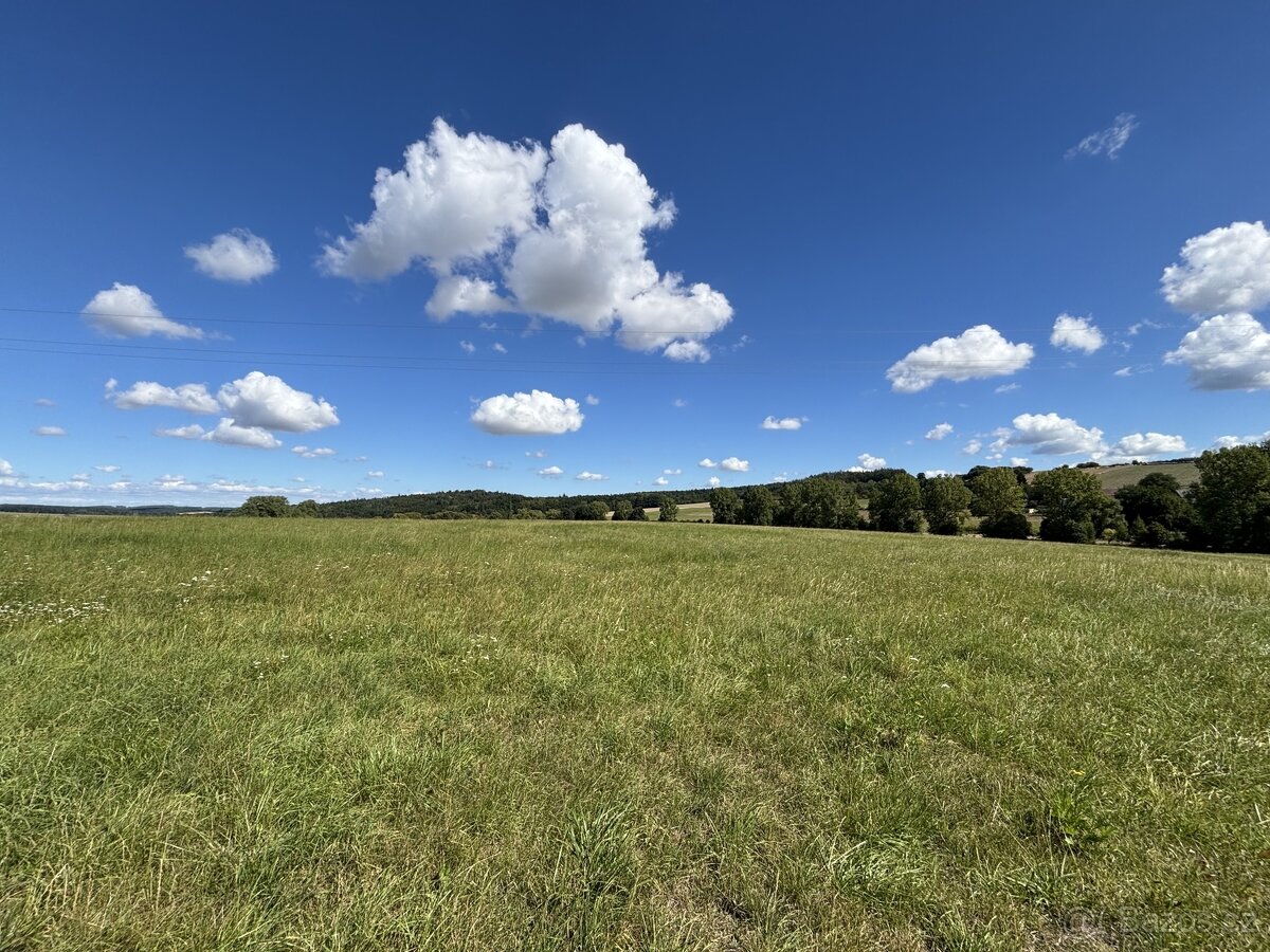 Prodej, pozemek 214865 m², Ježovy - 7