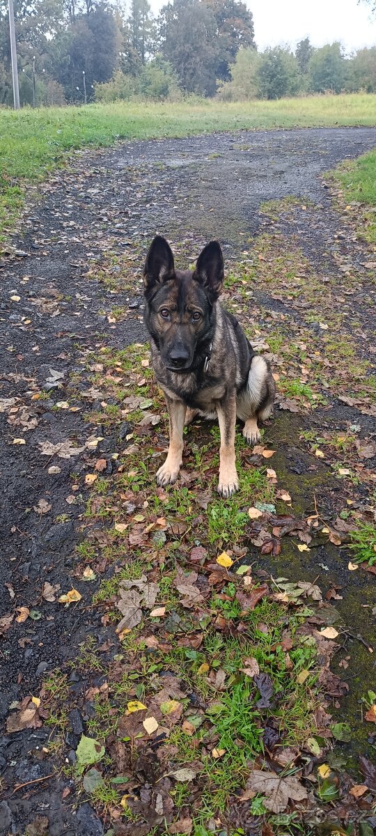 Do dobrých rukou - 7