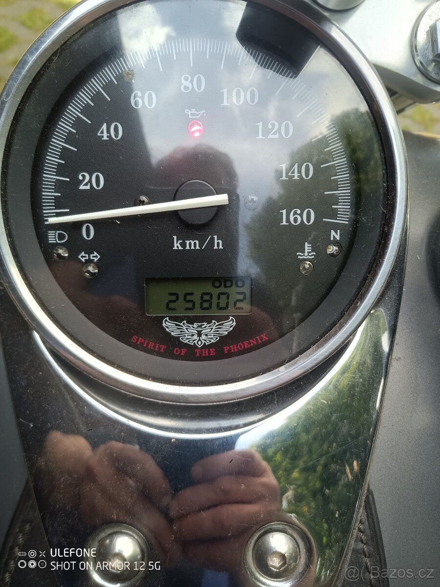 HONDA BLACK WIDOW VT750DC RC48 - 7