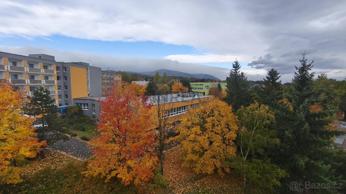 Prodej bytu, 1+1, 36 m2, DV, ul. Jezerská, Jirkov - 7