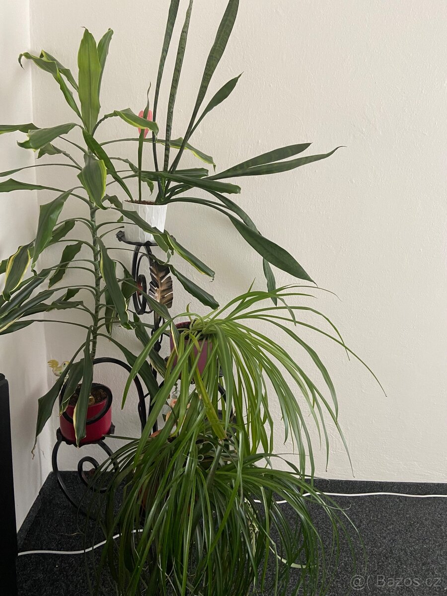 Kovové stojánky na kytky - ruční výroba - 7