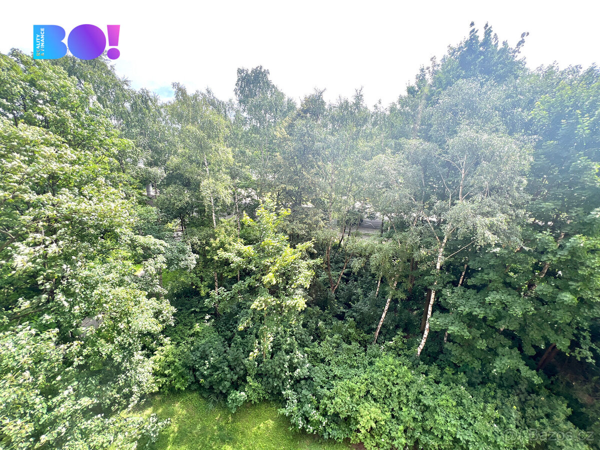 Prodej investičního bytu 1+kk, 25,4 m², ul. Bohumínská, Slez - 7