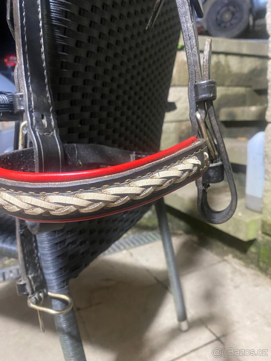 Postroje na poníky do vozu - 7