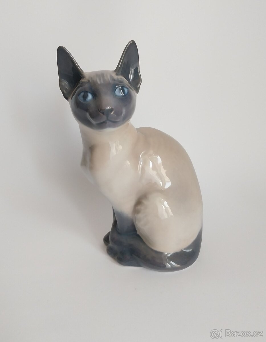 Královská Kodaň - siamská kočka - 7