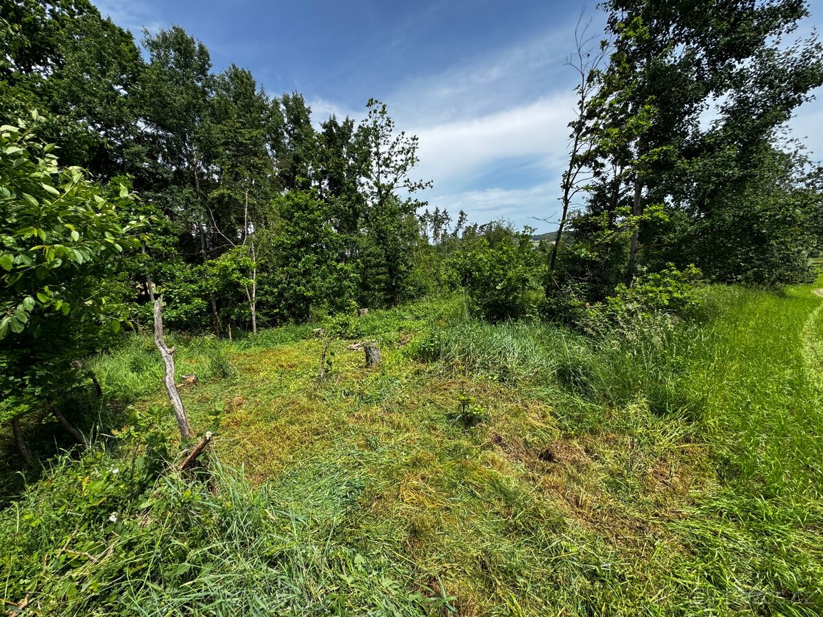 Prodej lesa 880m2 Radkovice - 7