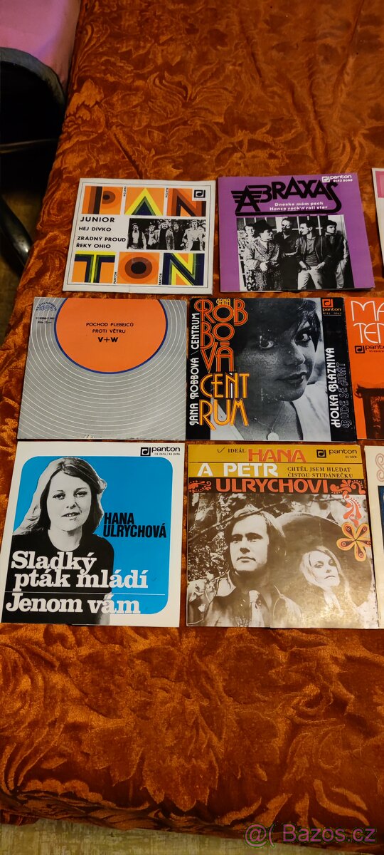 Prodám konvolut desek - 7