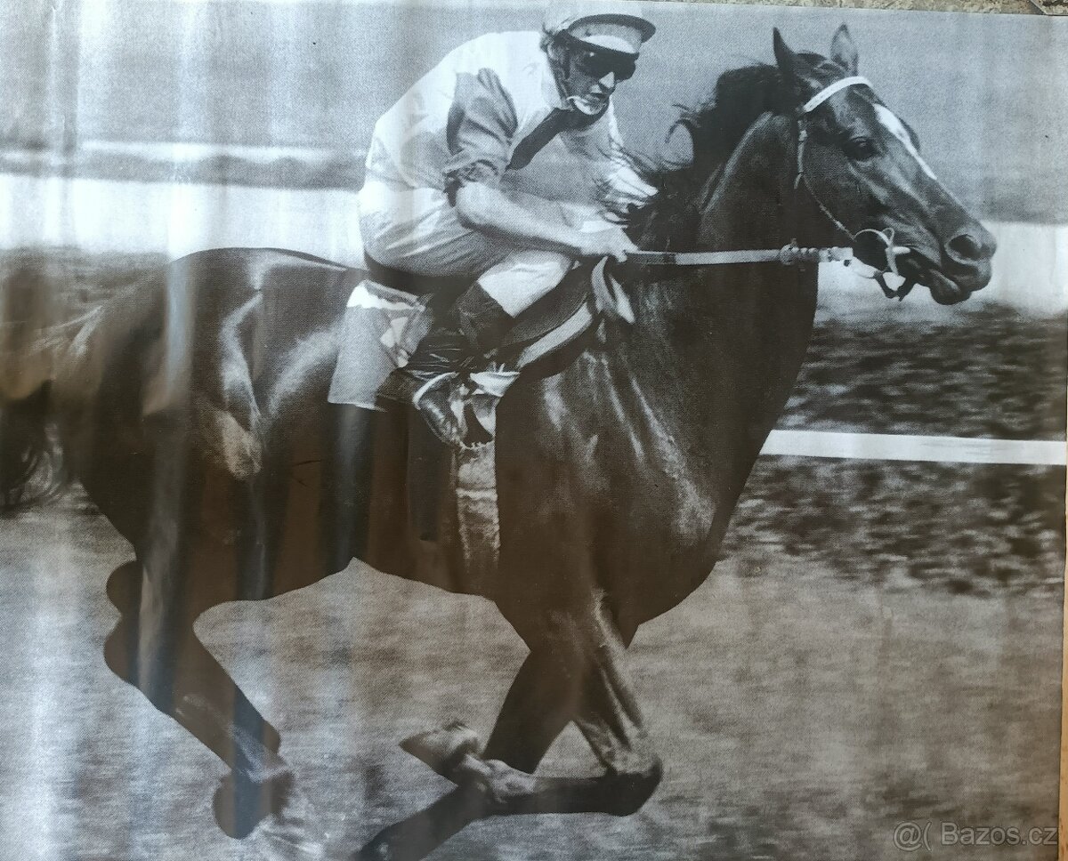 Plakáty - retro - různé - 1 ks/100,- - 7