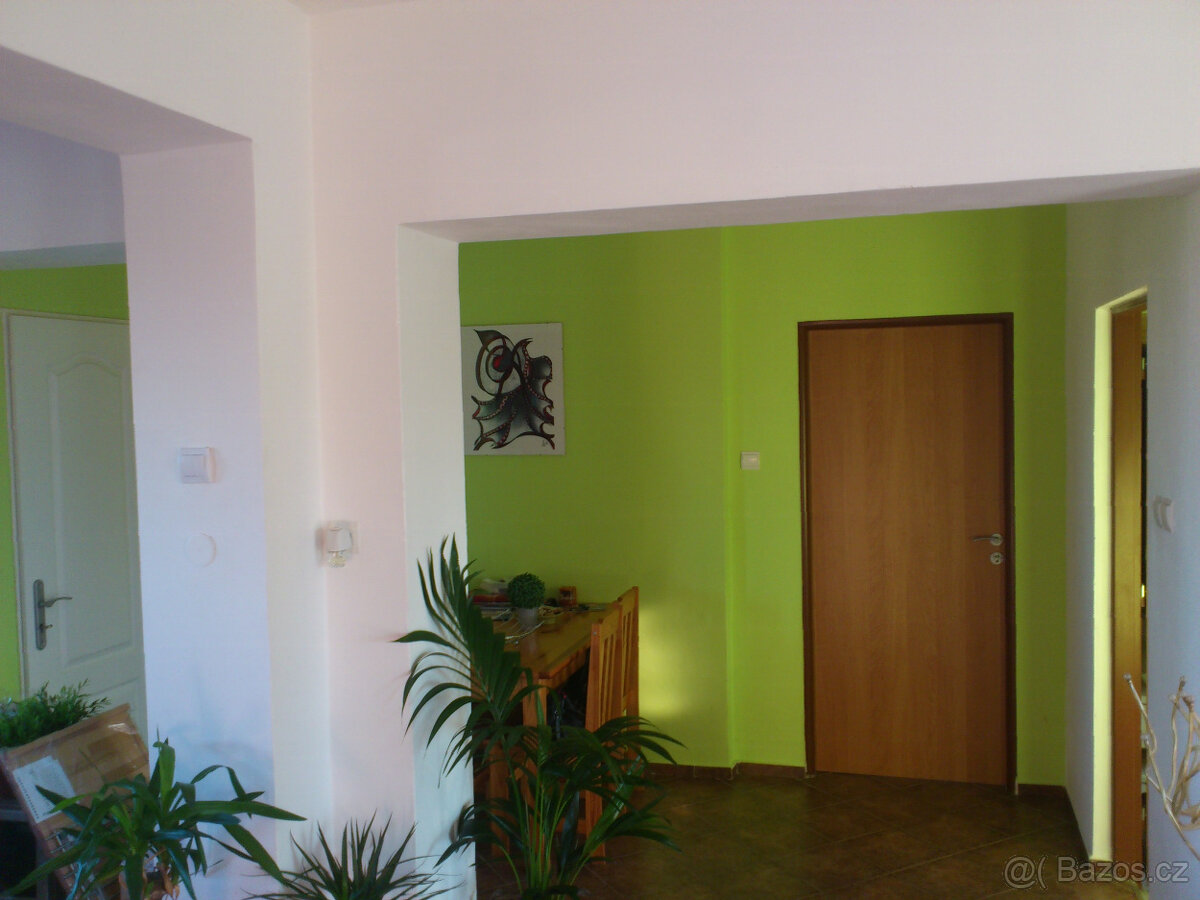 Pronájem v rodiném domě - 7