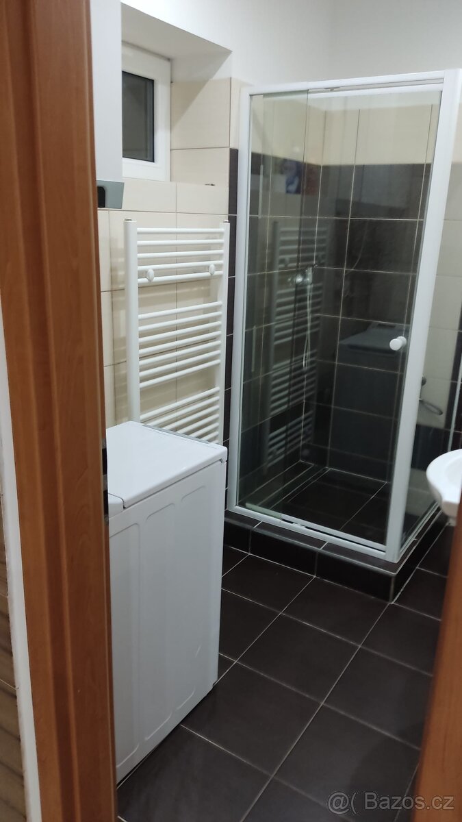 Pronájem bytu - 7