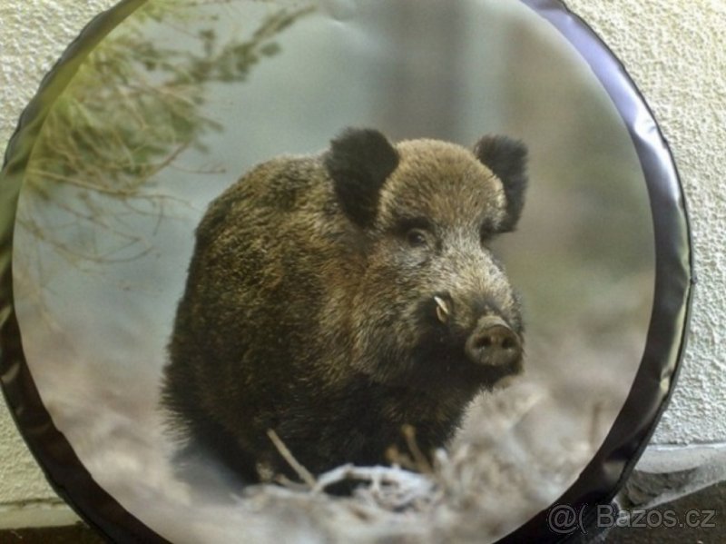 Terrano, patrol kryt kola - 7