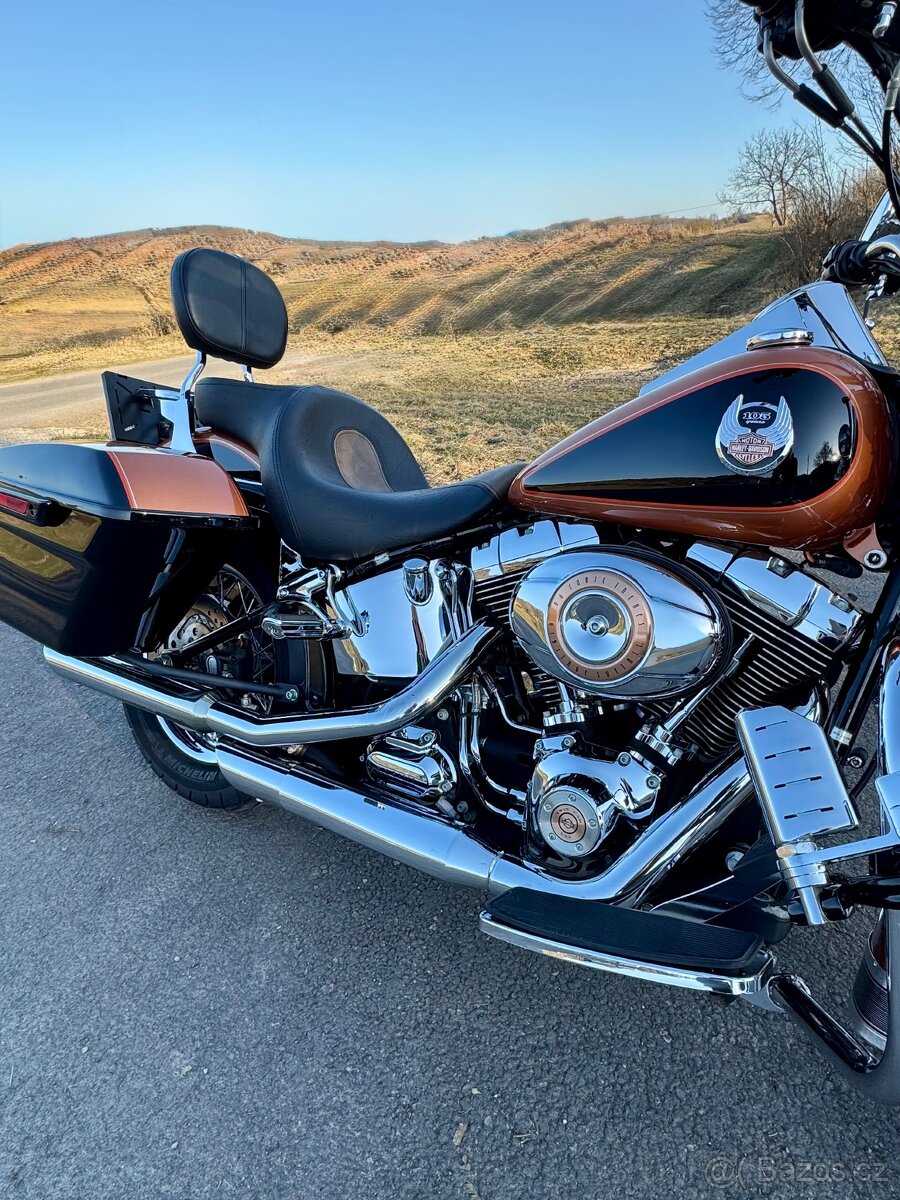 Harley Davidson / Heritage softail / FLSTC / 105th - 7