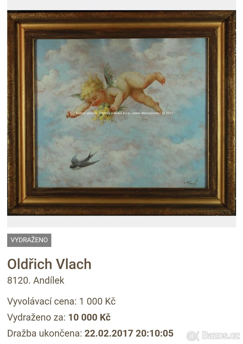 Oldřich Vlach - Andělíček - Obraz - 7