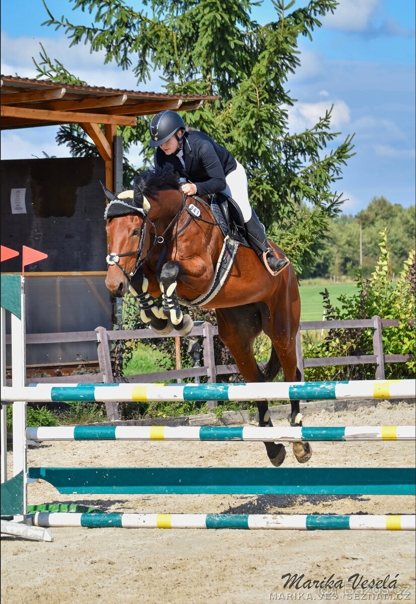 Kobyla s hříbětem - 7